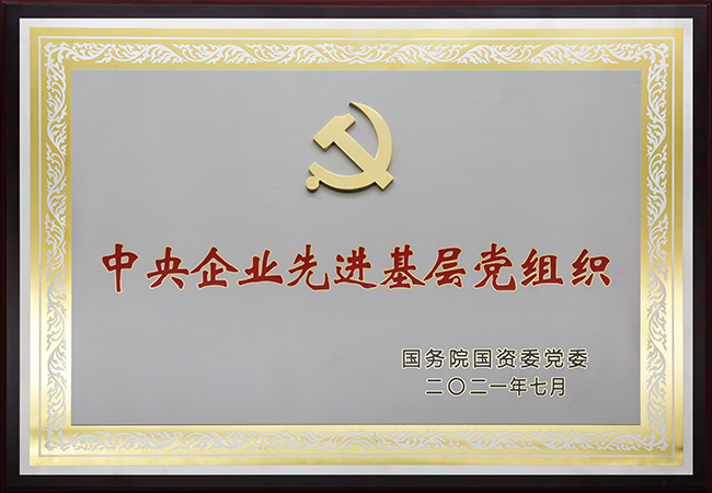 國(guó)珍松花粉-新時(shí)代健康產(chǎn)業(yè)（集團(tuán)）有限公司成立于1995年3月，是中國(guó)新時(shí)代控股（集團(tuán)）公司的控股子公司，總部設(shè)在北京，注冊(cè)資本1億元人民幣。公司是直銷行業(yè)內(nèi)首批獲得直銷牌照的內(nèi)資企業(yè)之一，也是行業(yè)內(nèi)唯一一家央屬企業(yè)。